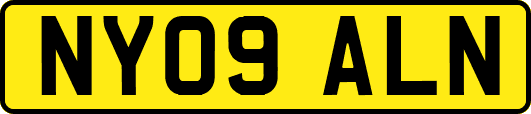 NY09ALN