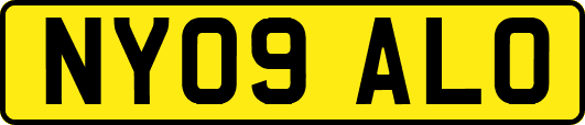 NY09ALO