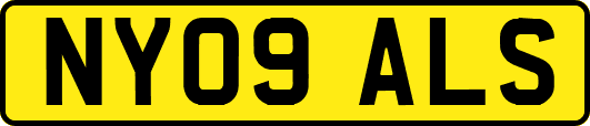 NY09ALS