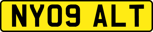 NY09ALT