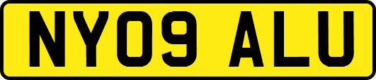 NY09ALU