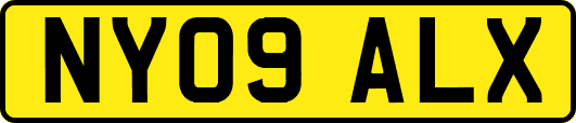 NY09ALX