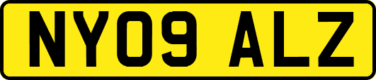 NY09ALZ