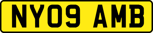 NY09AMB