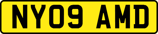 NY09AMD