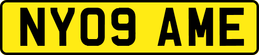 NY09AME