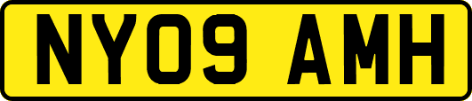 NY09AMH