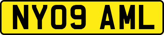 NY09AML