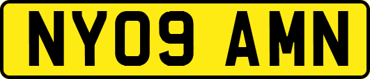 NY09AMN