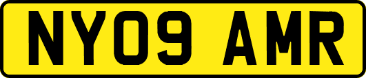 NY09AMR