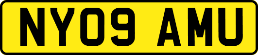 NY09AMU