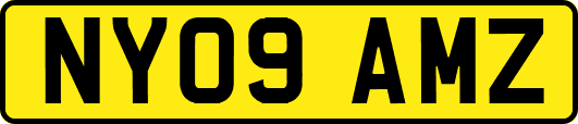 NY09AMZ