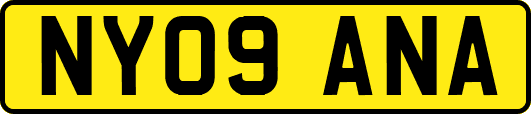 NY09ANA