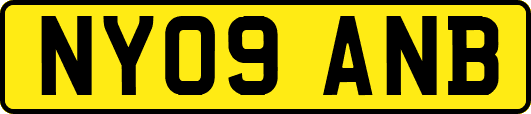 NY09ANB