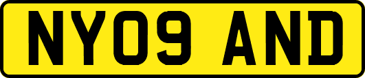 NY09AND