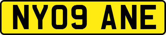 NY09ANE