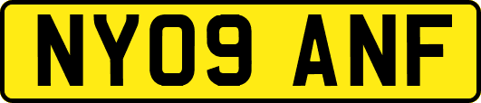 NY09ANF