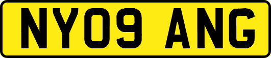 NY09ANG
