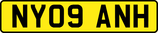NY09ANH