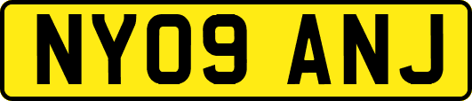 NY09ANJ