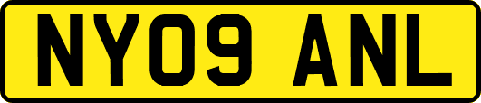NY09ANL