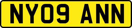 NY09ANN