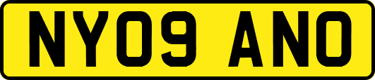 NY09ANO