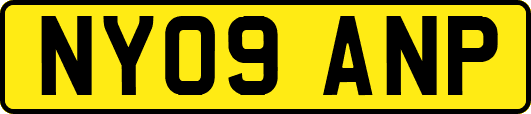 NY09ANP