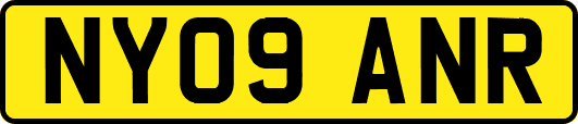 NY09ANR