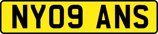NY09ANS