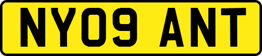 NY09ANT