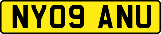 NY09ANU