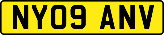 NY09ANV