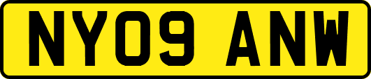 NY09ANW