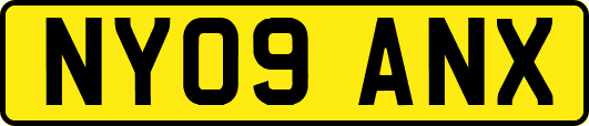 NY09ANX