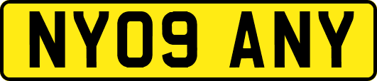 NY09ANY