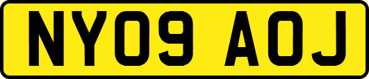 NY09AOJ