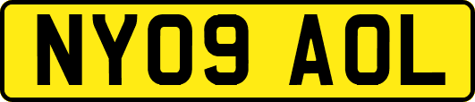 NY09AOL