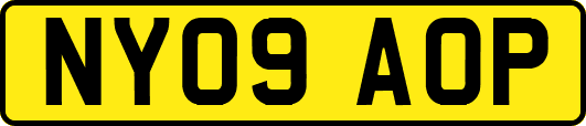 NY09AOP
