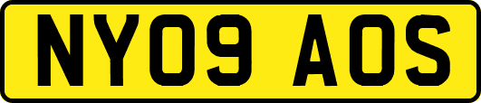 NY09AOS