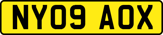 NY09AOX