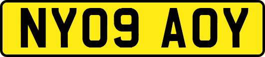 NY09AOY