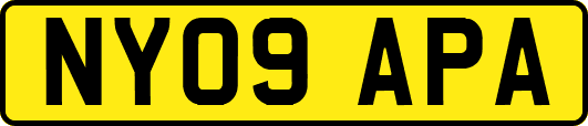 NY09APA