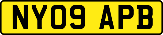 NY09APB