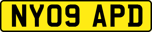 NY09APD