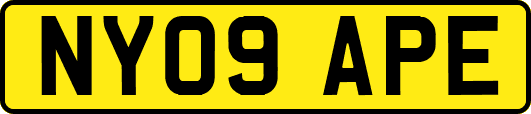 NY09APE