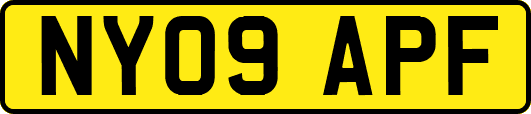 NY09APF