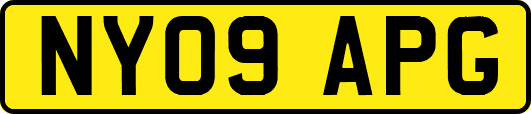 NY09APG
