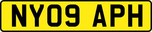 NY09APH
