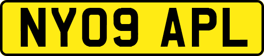 NY09APL